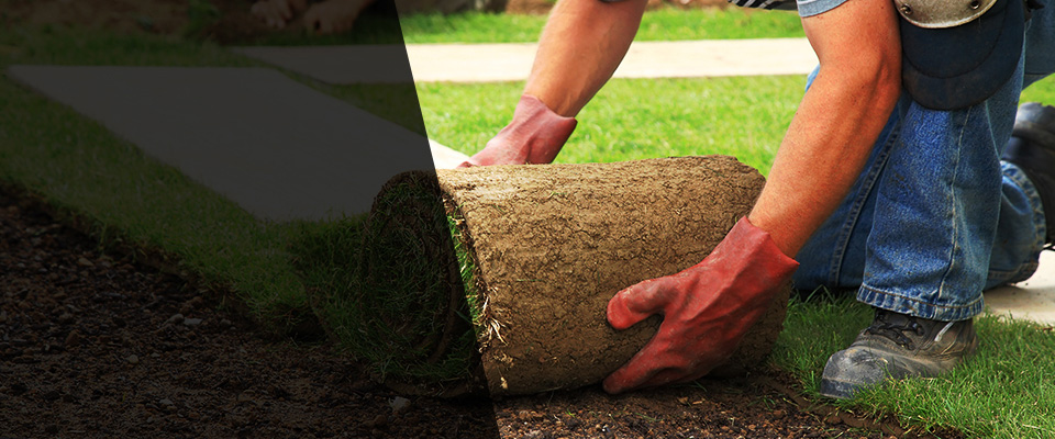 East Troy Landscapers